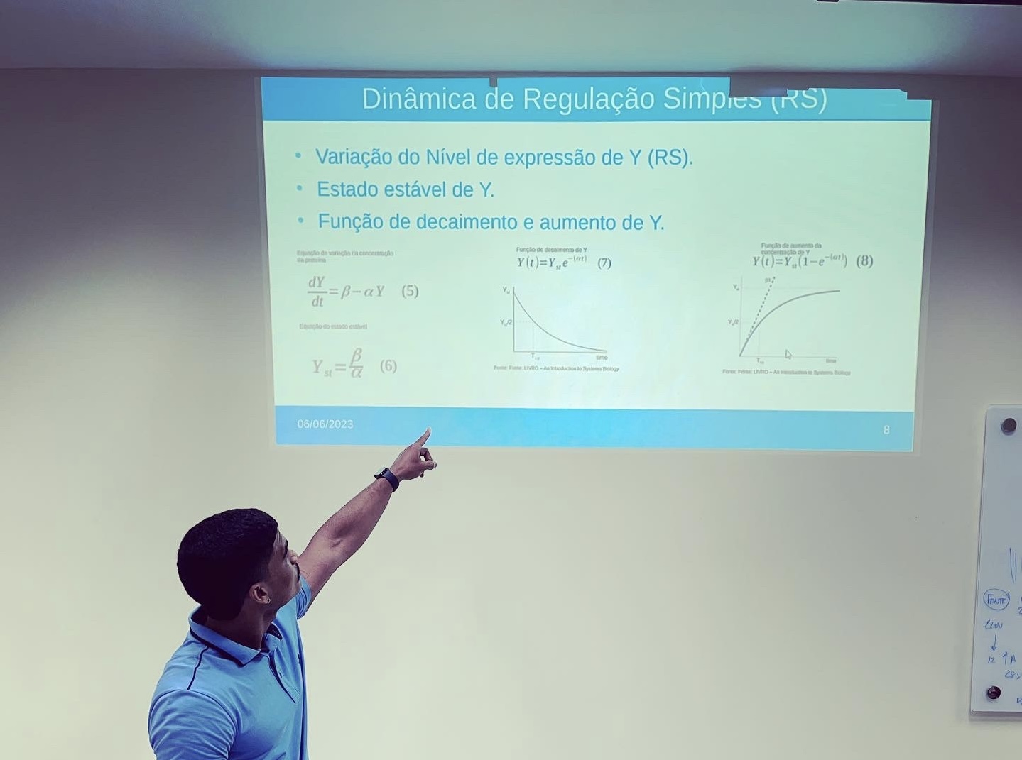 Undergraduate Thesis on Physicis